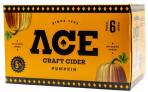 Ace - Pumpkin Hard Cider 0 (66)