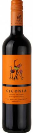Ciconia - Syrah NV